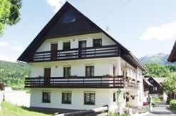 Apartmaji Sobe Žnidar