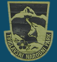 tnp