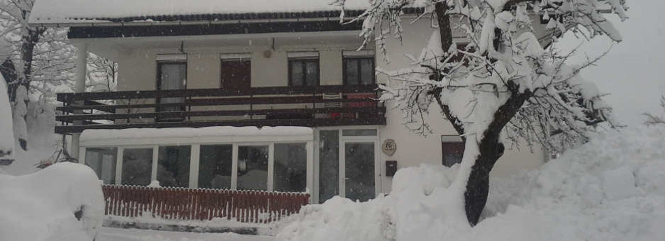 Apartmaji Sobe Žnidar